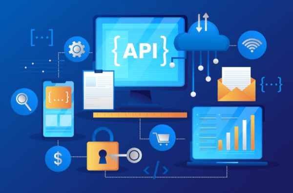 Why do Django web development services make a smart investment?