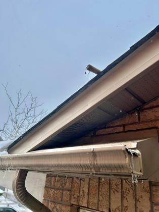 Wildlife Removal Toronto