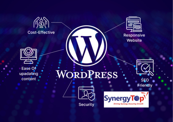Wordpress Development Company - SynergyTop