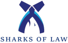Child Custody Lawyers in Delhi NCR