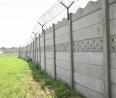 Concertina Wire – High-Security Fencing for Protection