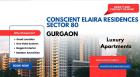 Conscient Elaira Residences Sector 80 Gurgaon - Turning Houses into Dreams