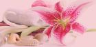 Couples Massage Santa Rosa