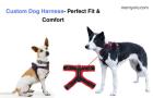 Custom Dog Harness- Perfect Fit & Comfort