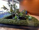 Designer Vertical Gardens