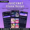 Dominate the Crypto Casino Industry with Plurance’s JuicyBet Clone