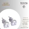 Elegant Silver Earrings – Timeless Beauty & Shine