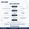End to End Digital Marketing Solutions | Amazio