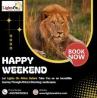 Explore the Best Tanzania Safari Packages