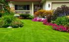 Foster City Lush Landscaping