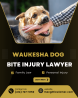 Injured by a dog? A Waukesha Dog Bite Injury Lawyer fights for you!