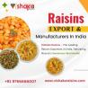 Leading Raisins Exporters in India Premium Quality Raisins Manufacturers in India