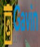 London Gavin Junk Remova