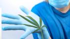 Medical Marijuana Card Renewal