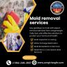 Mold removal companies Hillsborough