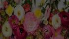 Napa Florist Wedding