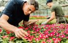 Nursery Management Software