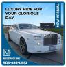 Party Bus Rentals Mississauga