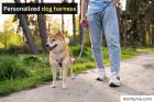 Personalized Dog Harness – Custom Comfort & Safety