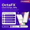 Seize the Forex Market with Our OctaFX Clone Script – Fast & Secure