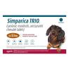 Simparica TRIO on DiscountPetCare - Flea Tick Prevention 30% Off