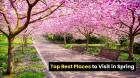 Top 10 Best Places to Visit in Spring for a Perfect Getaway