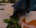 Toronto Wedding Limos