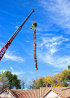 Tree Service San Tan Valley