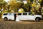 Wedding Transportation in London Ontario
