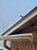 Wildlife Removal Toronto