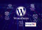 Wordpress Development Company - SynergyTop