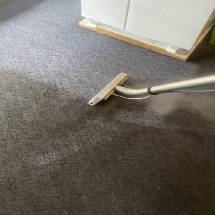 Affordable Carpet Cleaner in Pimpama