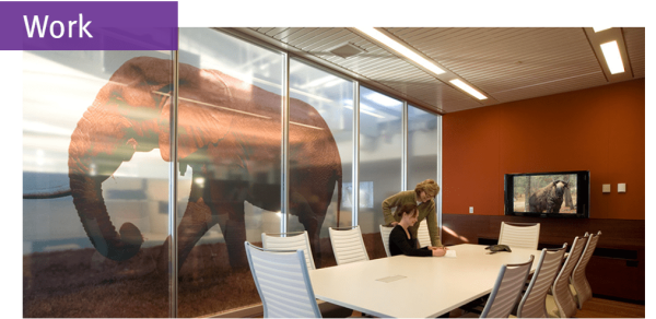 Best Architects in Boston: Visionary Design with Leslie Saul & Associates