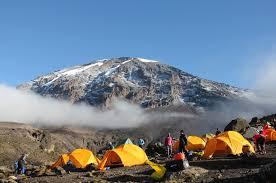 Book Your Ultimate Tanzania Safari Trip