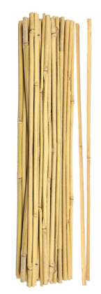 Bulk Bamboo Canes Supplier - Vantidebamboo.com