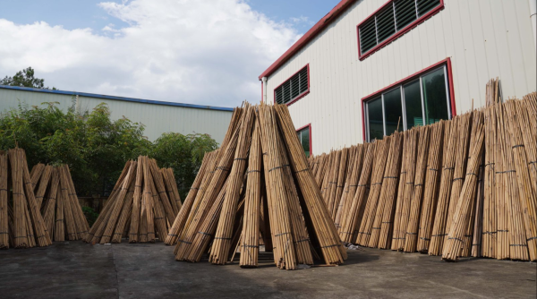 Bulk Bamboo Canes Supplier - Vantidebamboo.com