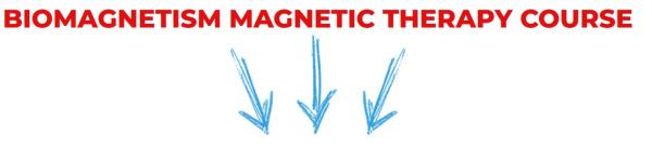 Curso de biomagnetismo