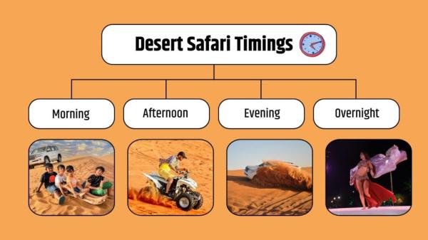 Desert Safari Dubai Timings | Best Desert Safari Dubai