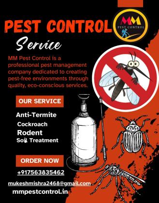 Don’t Let Pests Take Over – We’ve Got You!