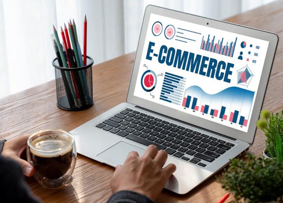 Ecommerce PPC Management Services