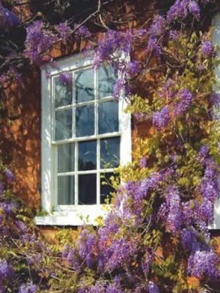 Elevate Your Home or Business with Premium Windows & Doors from IDL Windows