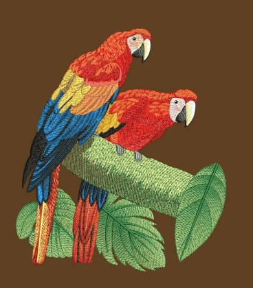 Embroidery Digitizing, Custom Patches, Vector Art Services.