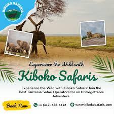 Experience the Best of Tanzania Safari Tours