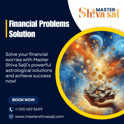 Famous Financial Problems Solution Astrologer in California