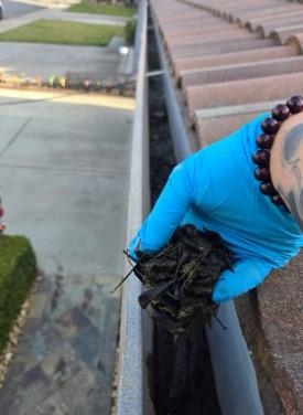 Gutter Cleaning Service in Cincinnati You Can Trust