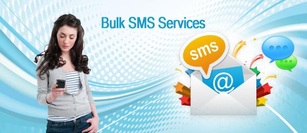 How to Choose the Best Bulk SMS Provider in Pune