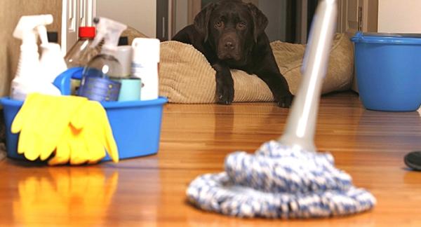Janitorial Services - Crest Janitorial Services
