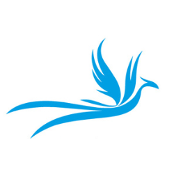 Largest Online B2B Drone Marketplace - Beyond SKY
