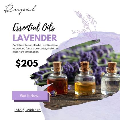 Looking for Natural Healing & Wellness?