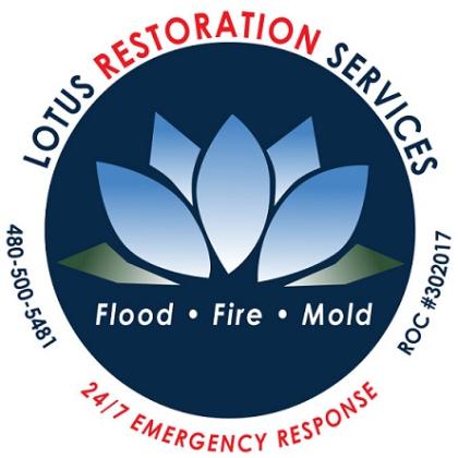 Lotus Restoration